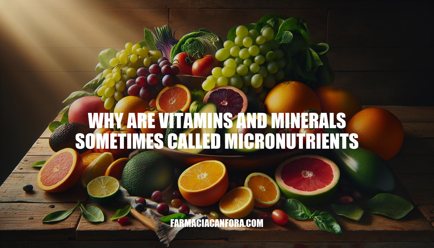Why Are Vitamins and Minerals Sometimes Called Micronutrients
