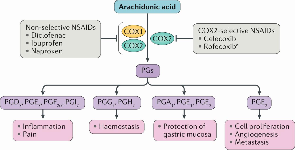 This image shows the effects of non-selective NSAIDs and COX-2 selective NSAIDs on the arachidonic acid pathway.