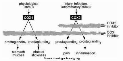 A diagram showing the effects of COX-1 and COX-2 inhibitors on the production of prostaglandins.