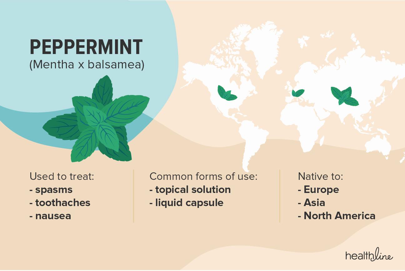A world map shows the native regions of peppermint, which is used to treat spasms, toothaches, and nausea and comes in topical solution and liquid capsule forms.