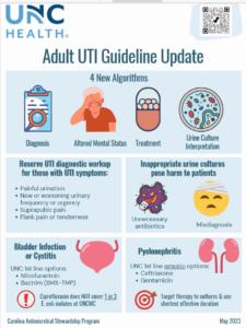 A table with four adult UTI guideline updates.