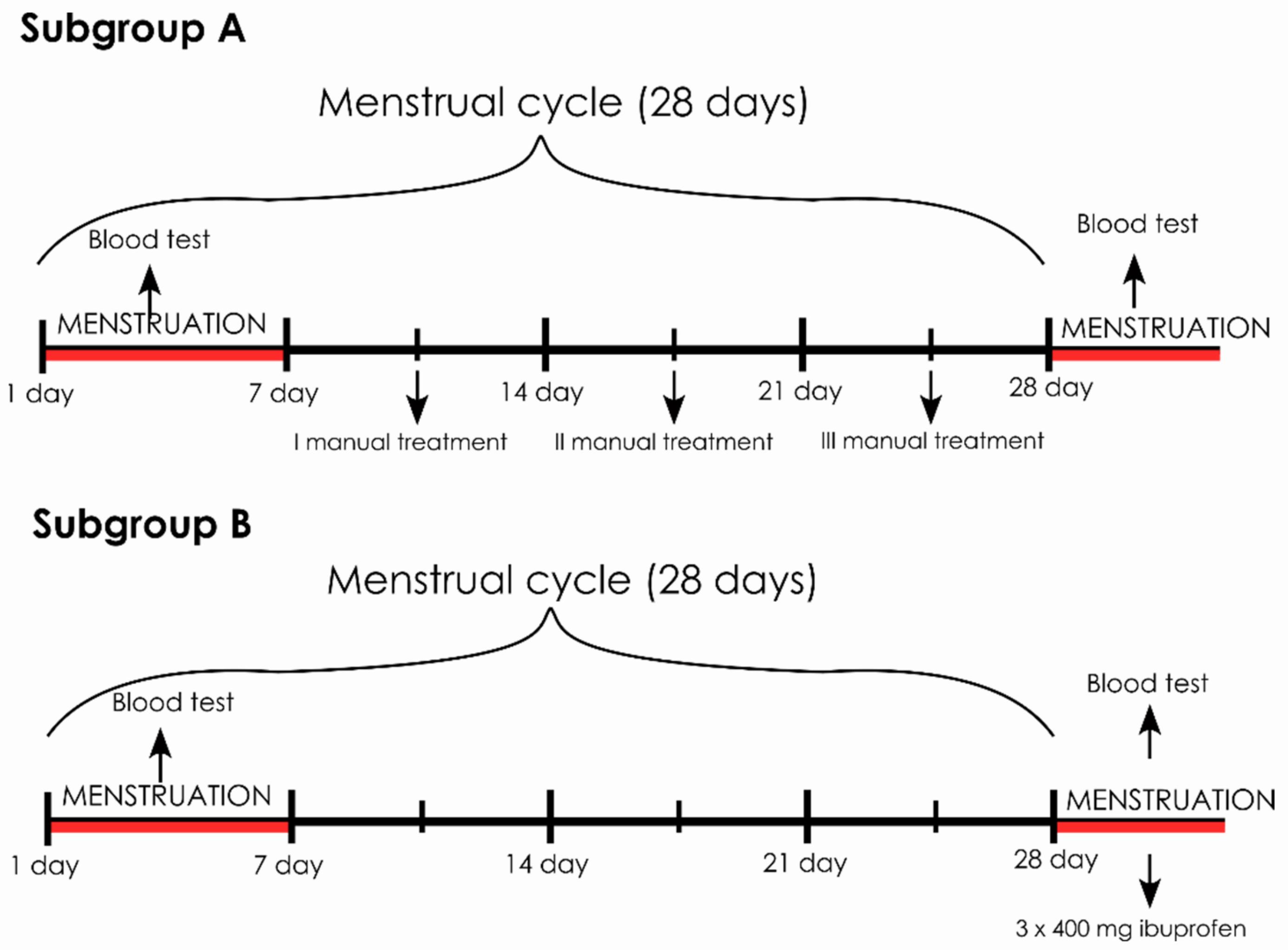 Two menstrual cycles are shown, each lasting 28 days. In both cycles, blood tests are taken on days 1 and 28. In subgroup A, manual treatments are given on days 7, 14, and 21. In subgroup B, 400 mg of ibuprofen is given three times on day 28.