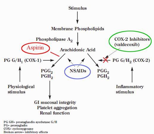 This image shows the effects of aspirin and NSAIDs on the arachidonic acid cascade.