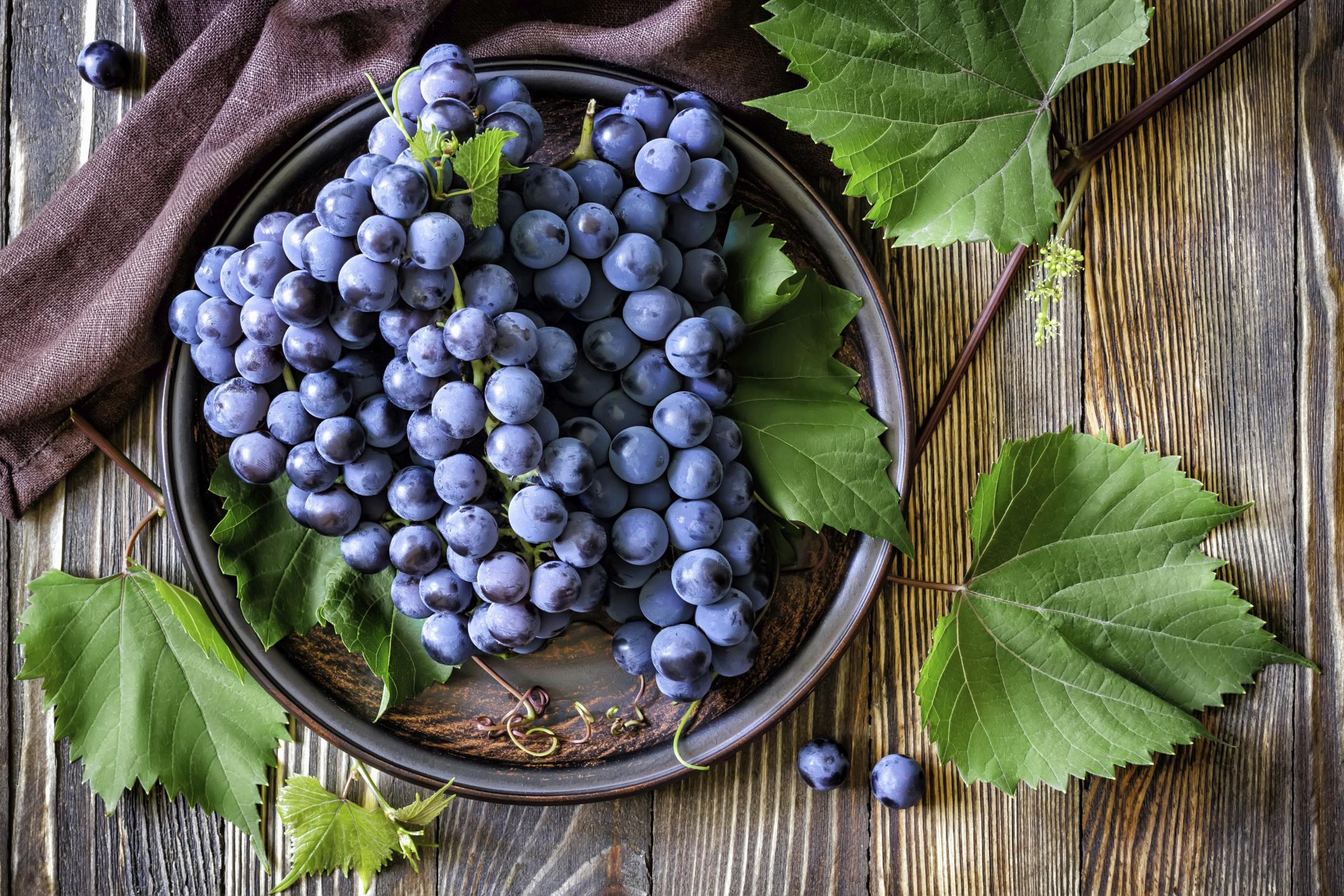 A bunch of ripe blue grapes on a brown ceramic plate, surrounded by green leaves.