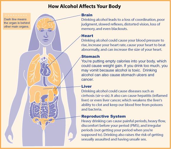 This infographic shows how alcohol affects the different organs of the body, including the brain, heart, stomach, liver, and reproductive system.