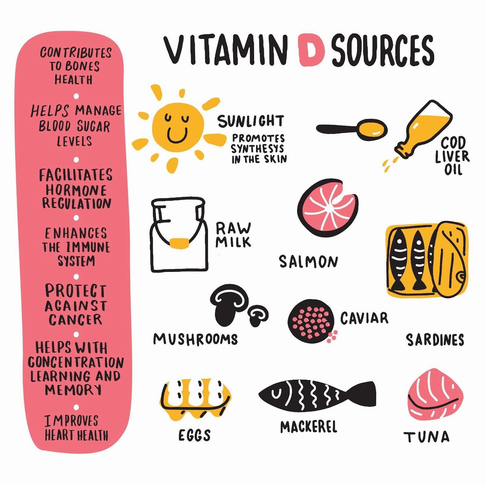 A hand-drawn infographic on the sources of vitamin D.