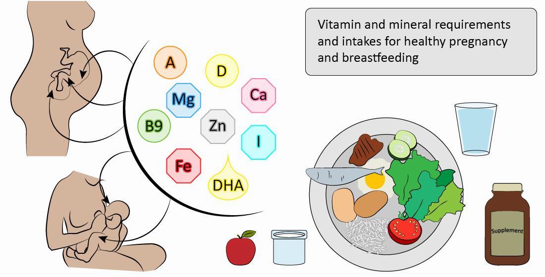 A diagram showing the vitamin and mineral requirements for a healthy pregnancy and breastfeeding.