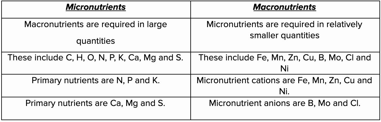 The image is a table comparing micronutrients and macronutrients.