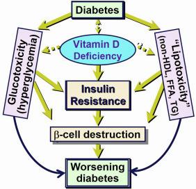 A diagram showing the relationship between vitamin D deficiency and diabetes.