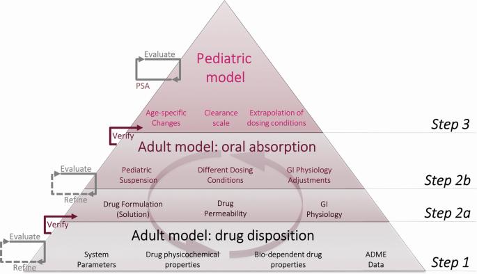 A pyramid of steps for physiologically based pharmacokinetic modeling and simulation in pediatrics.
