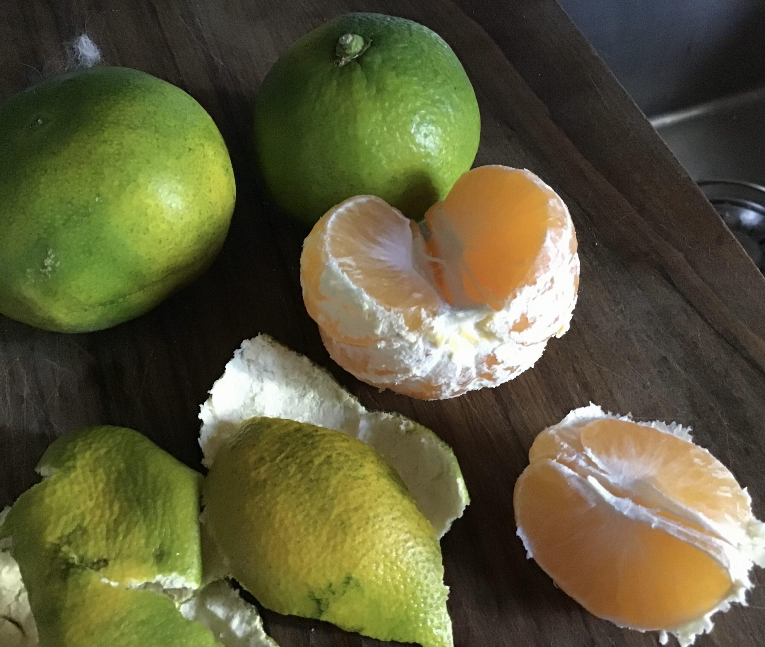 One whole and one peeled green mandarin orange, and one peeled and one unpeeled orange on a wooden table.