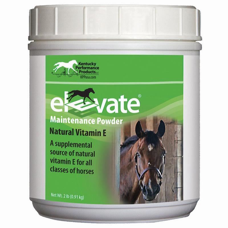 A white tub of Elevate Maintenance Powder, a natural vitamin E supplement for horses.