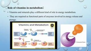 The image is a slide from a presentation about the role of vitamins in metabolism. It states that vitamins and minerals play a different role in energy metabolism and are required as functional parts of enzymes involved in energy release and storage.