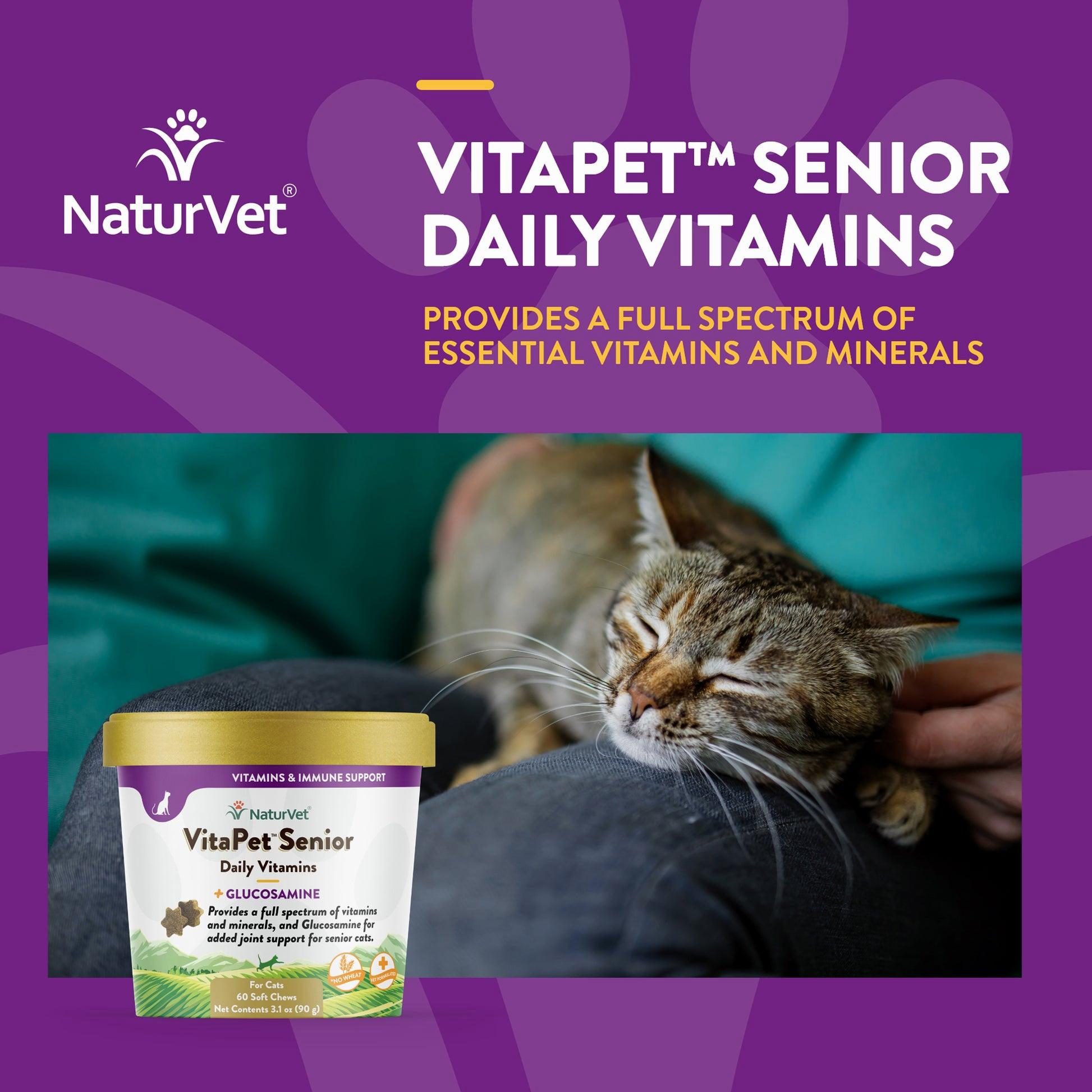 A cat is sleeping in front of a bottle of NaturVet VitaPet Senior Daily Vitamins, a vitamin supplement for senior cats.