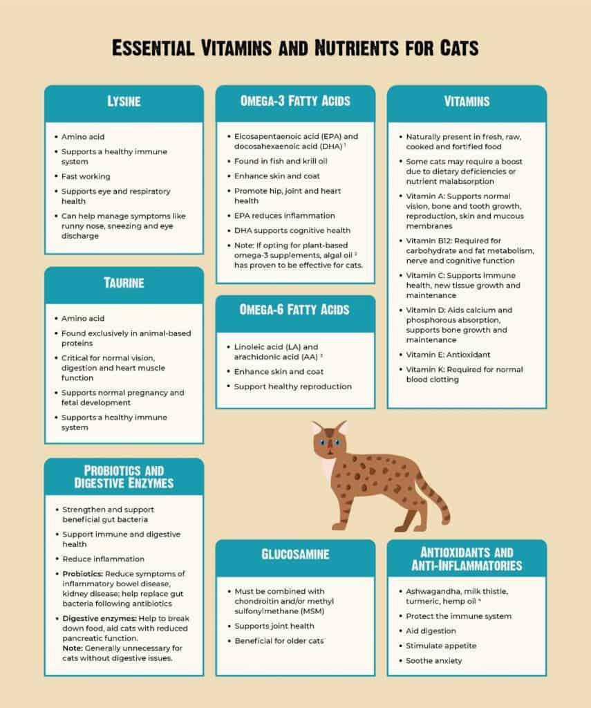 A chart of essential vitamins and nutrients for cats, including amino acids, omega-3 and omega-6 fatty acids, vitamins, probiotics and digestive enzymes, glucosamine, and antioxidants and anti-inflammatories.