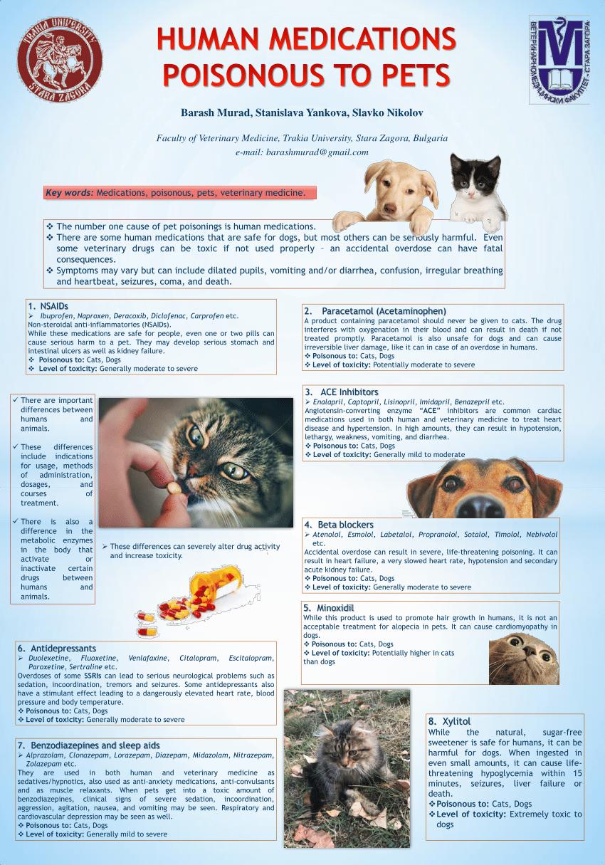 A chart of medications that are poisonous to dogs and cats.