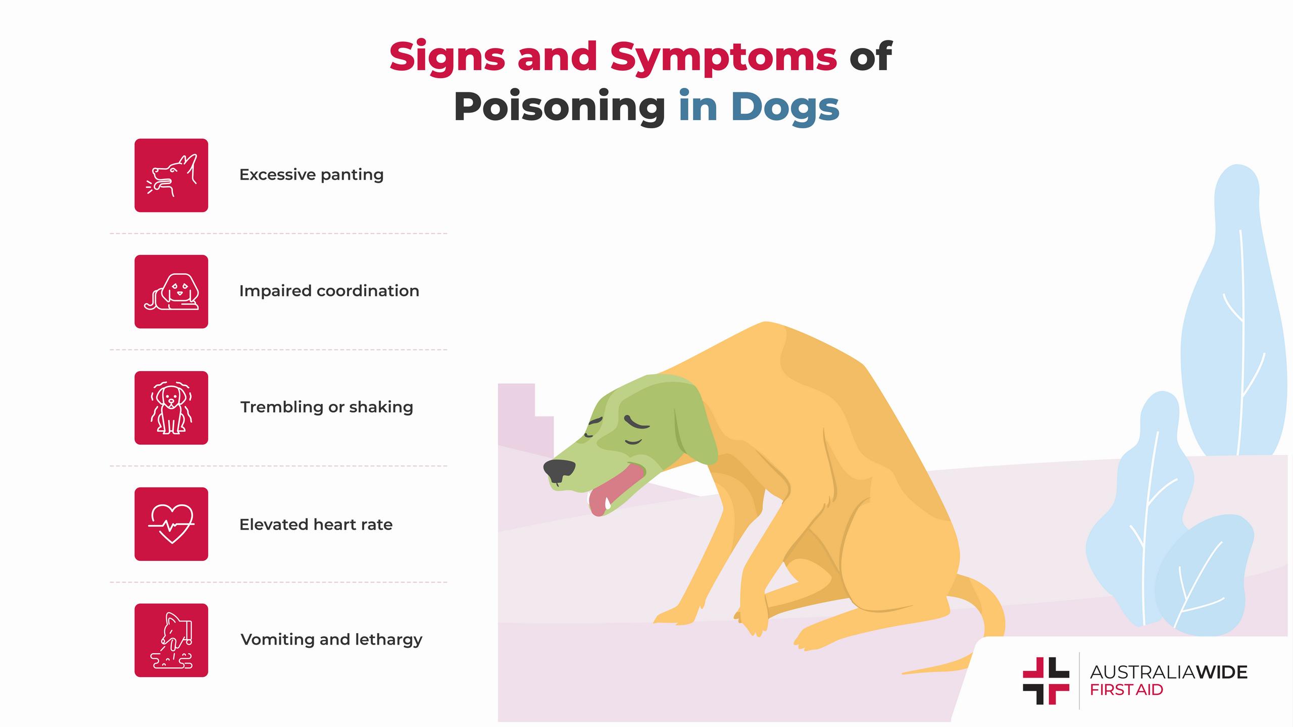 An illustration of a dog sitting on the ground with a green face and red eyes, surrounded by icons representing the signs and symptoms of poisoning in dogs.