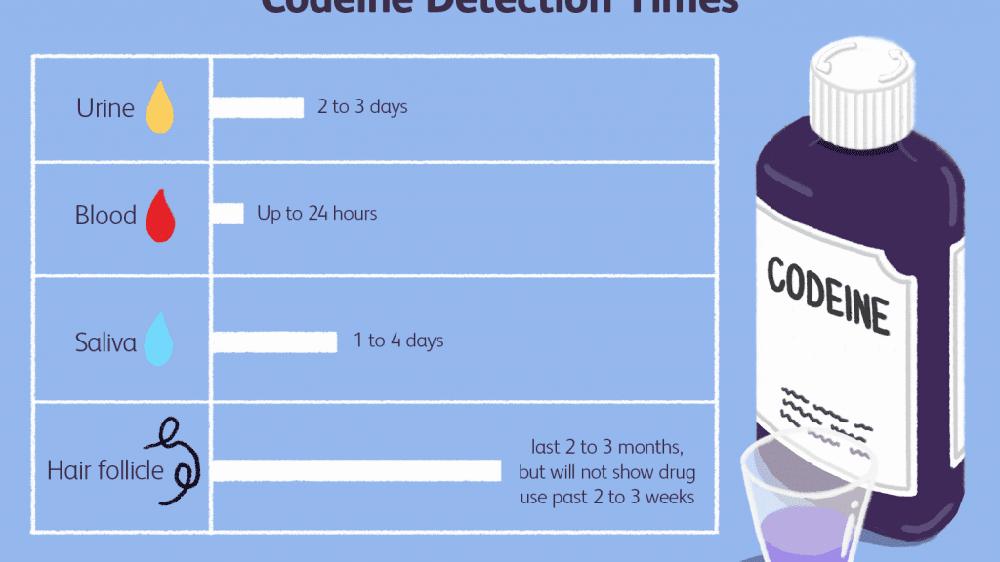 A table showing how long codeine can be detected in the body after use, with urine, blood, saliva, and hair follicle tests.
