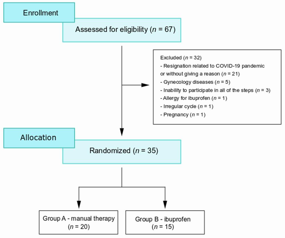 Flowchart of the study design, from enrollment to allocation of the two groups.