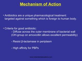 A slide titled Mechanism of Action lists the criteria for a good antibiotic.