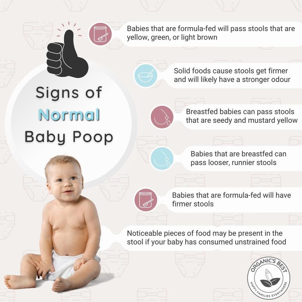 This image shows a chart describing the different types of normal baby poop.