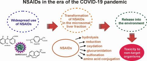 This image shows the environmental release and transformation of NSAIDs after their widespread use during the COVID-19 pandemic.