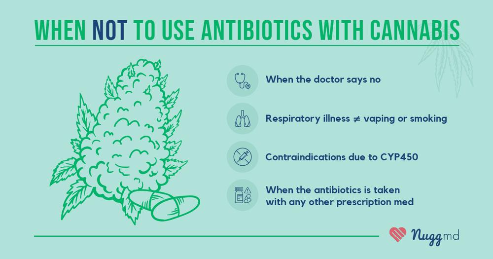 A list of situations when you should not use cannabis with antibiotics.