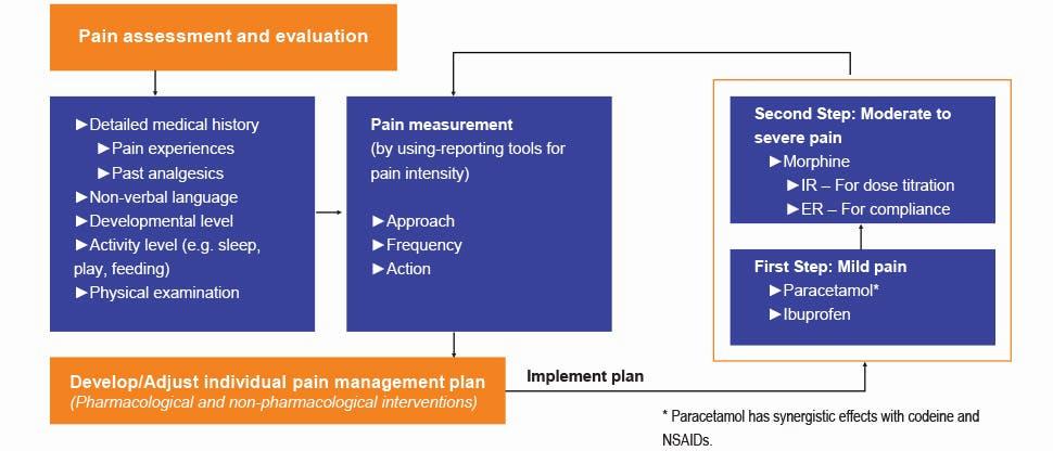 A flowchart for pain assessment and management in children.