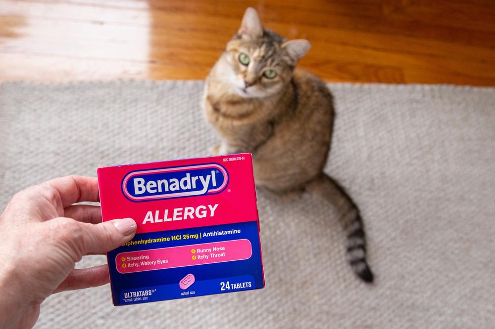 A hand is holding a box of Benadryl Allergy medication in front of a cat.