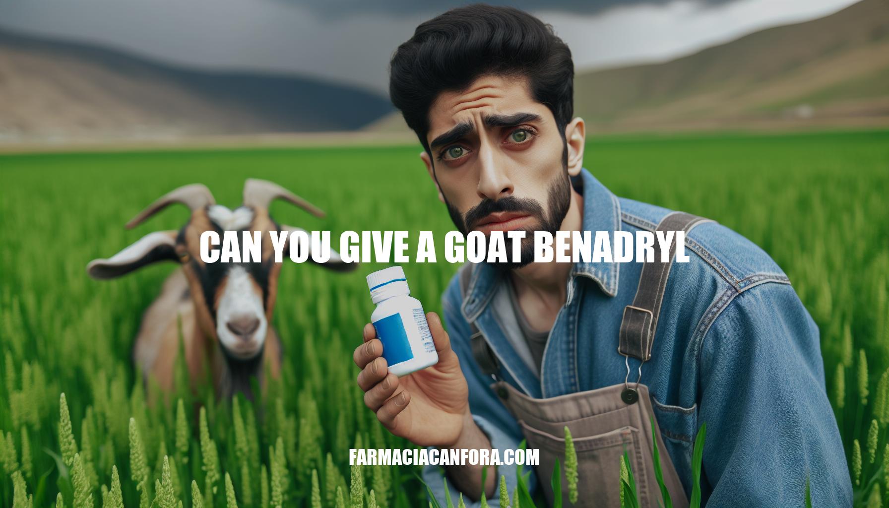 Can You Give a Goat Benadryl: Guidelines and Risks