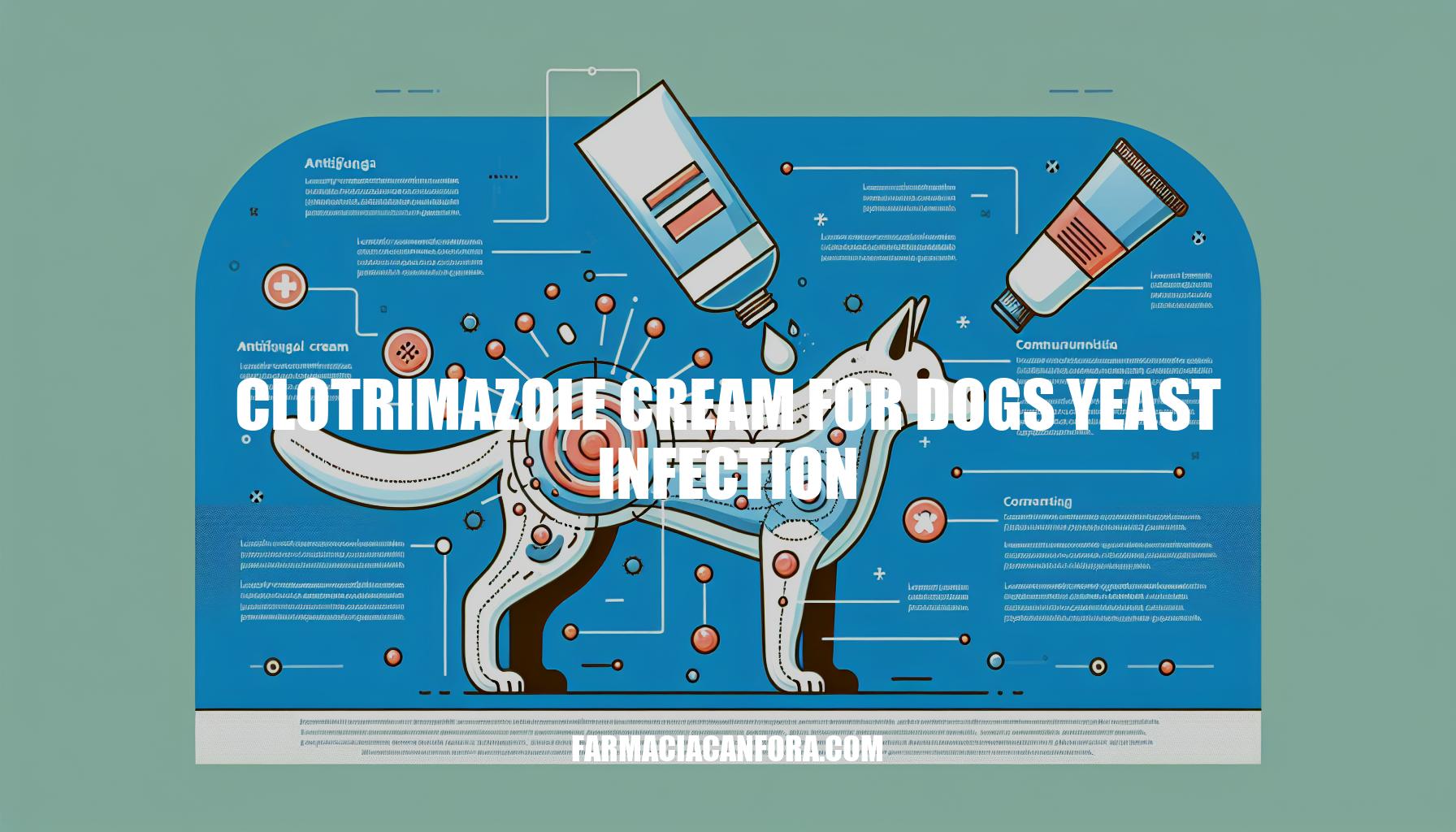 Clotrimazole Cream for Dogs Yeast Infection: Treatment Guide