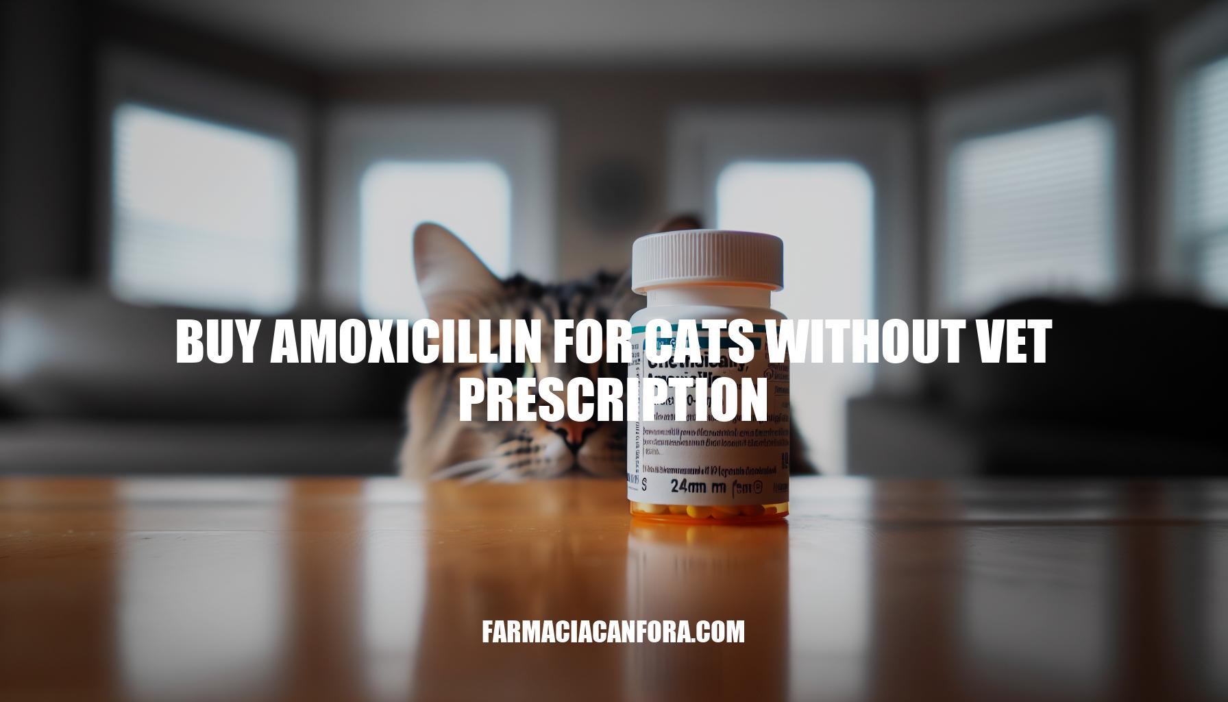 Dangers of Buying Amoxicillin for Cats Without Vet Prescription