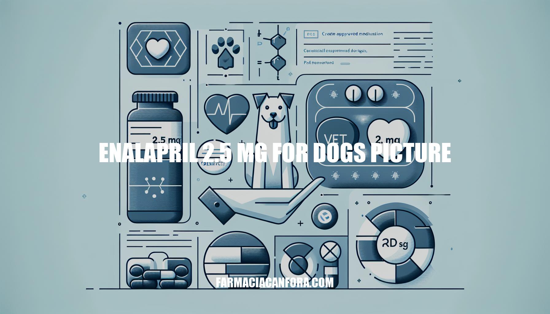 Enalapril 2.5 mg for Dogs Picture: Dosage, Benefits & Side Effects