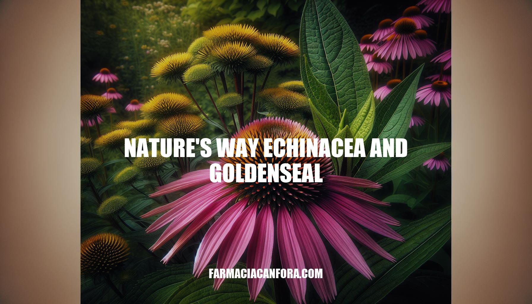 The Power of Nature's Way Echinacea and Goldenseal