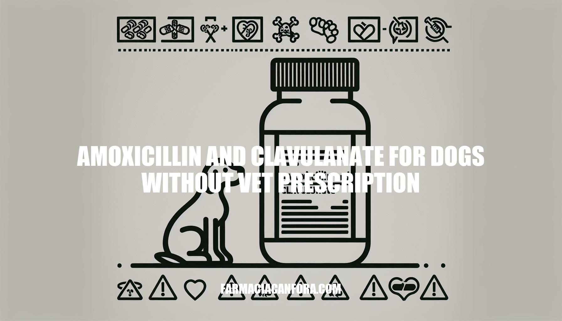 Using Amoxicillin and Clavulanate for Dogs Without Vet Prescription