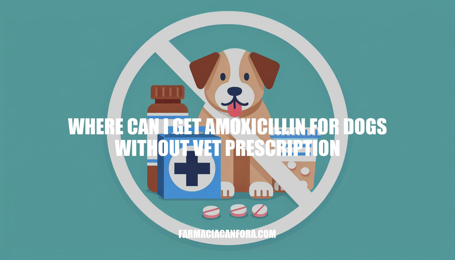 Where to Get Amoxicillin for Dogs Without Vet Prescription
