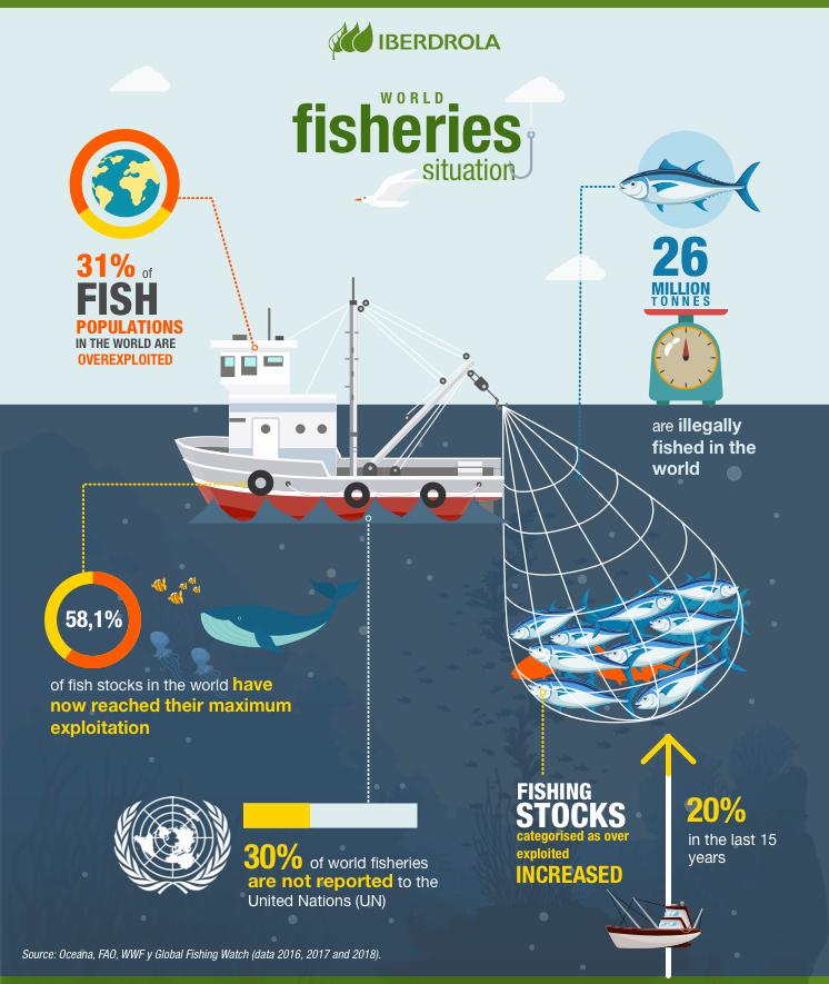 A fishing boat is shown with a net full of fish, with text stating that 31% of fish populations in the world are overexploited.