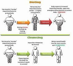 A comparison between dieting and cleansing, with the dieting side showing how it stresses the body and the cleansing side showing how it can help the body.