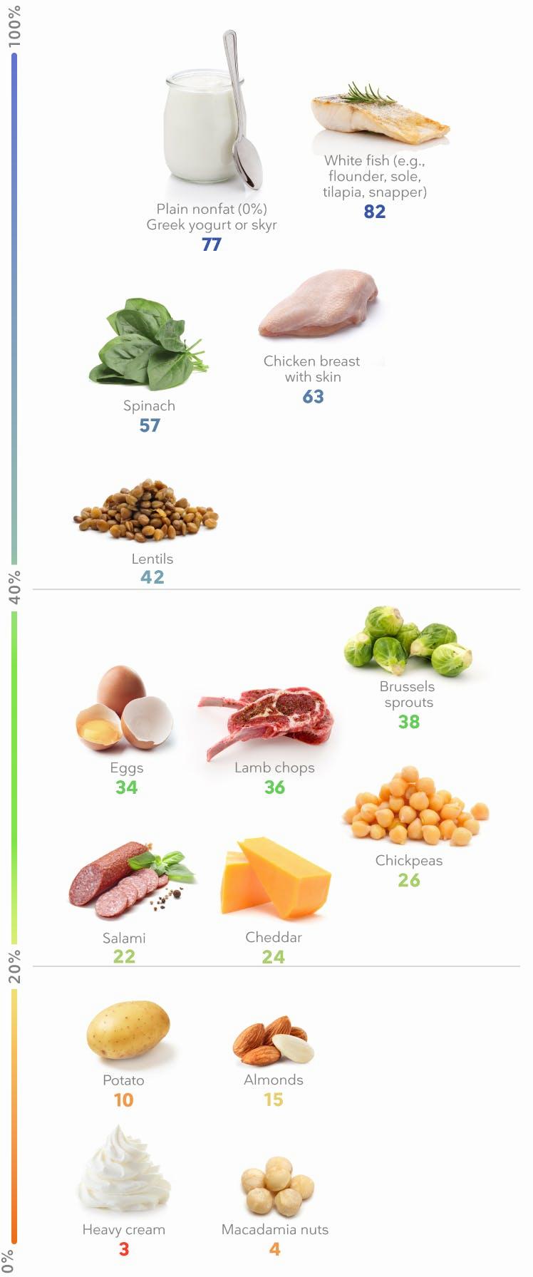 A table of common foods and their protein content per 100g.
