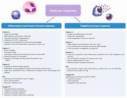 A table comparing the inflammatory and immune responses, including the types of cells involved, the mediators they release, and their effects on the body.