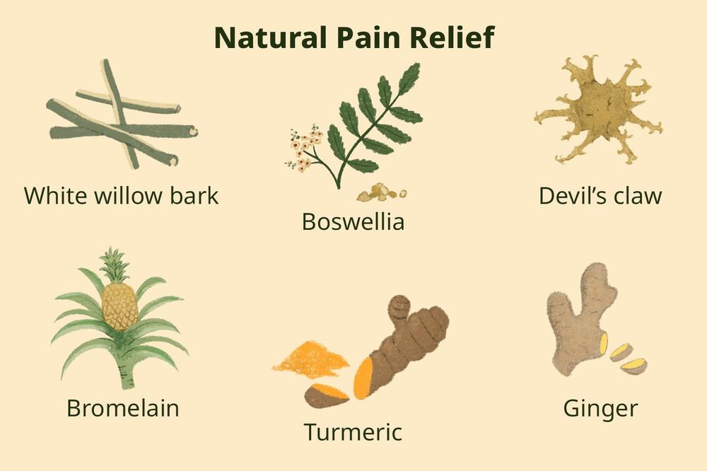 A list of natural pain relievers, including white willow bark, boswellia, devils claw, bromelain, turmeric, and ginger.