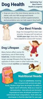 A chart that provides information about dog health, including factors that affect dog lifespan and nutritional needs.