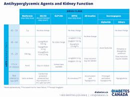 A table comparing the effects of different classes of antihyperglycemic drugs on kidney function.