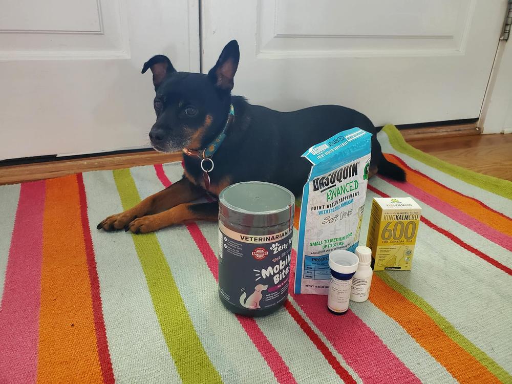 A small black dog is lying on a striped rug next to several bottles of supplements and medication.