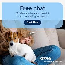 A woman holds a small dog on her lap while looking at her phone with a Chewy app pulled up.