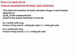 The effect of urine pH on tubular reabsorption and renal drug secretion.