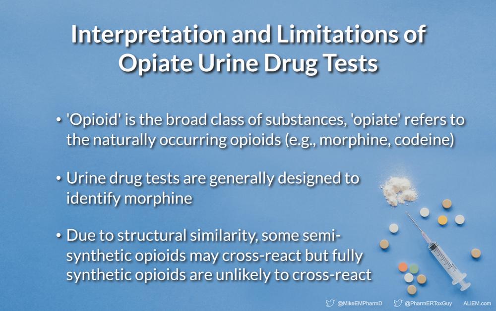 A slide explaining that urine drug tests for opiates are designed to detect morphine, and due to structural similarity some semi-synthetic opioids may cross-react but fully synthetic opioids are unlikely to cross-react.