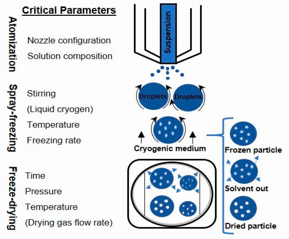 A schematic illustration of the spray freeze-drying process.