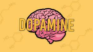 An illustration of a pink brain with the word Dopamine written in yellow letters in front of it.