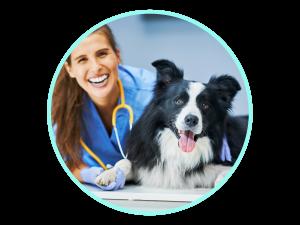 A smiling veterinarian with a stethoscope around her neck kneels next to a happy Border Collie.